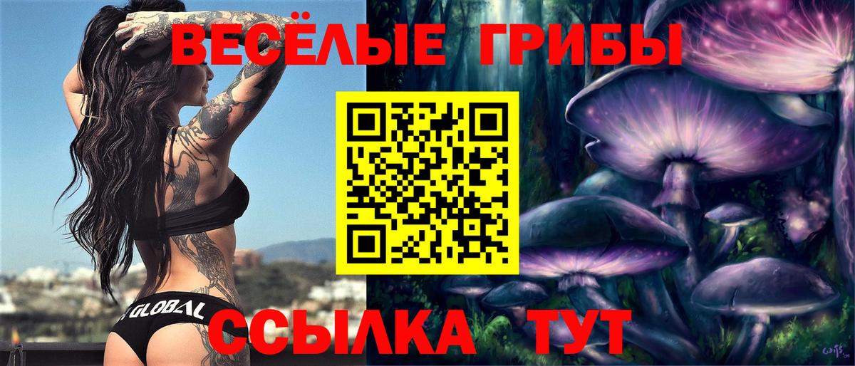 Галлюциногенные грибы Magic Shrooms  Вход с VPN  Ростов Великий  Галлюциногенные грибы Magic Shrooms 