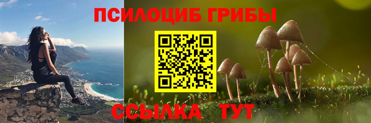 Галлюциногенные грибы Psilocybine cubensis Ростов Великий